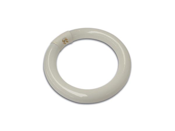 Néon de recharge pour lampe loupe