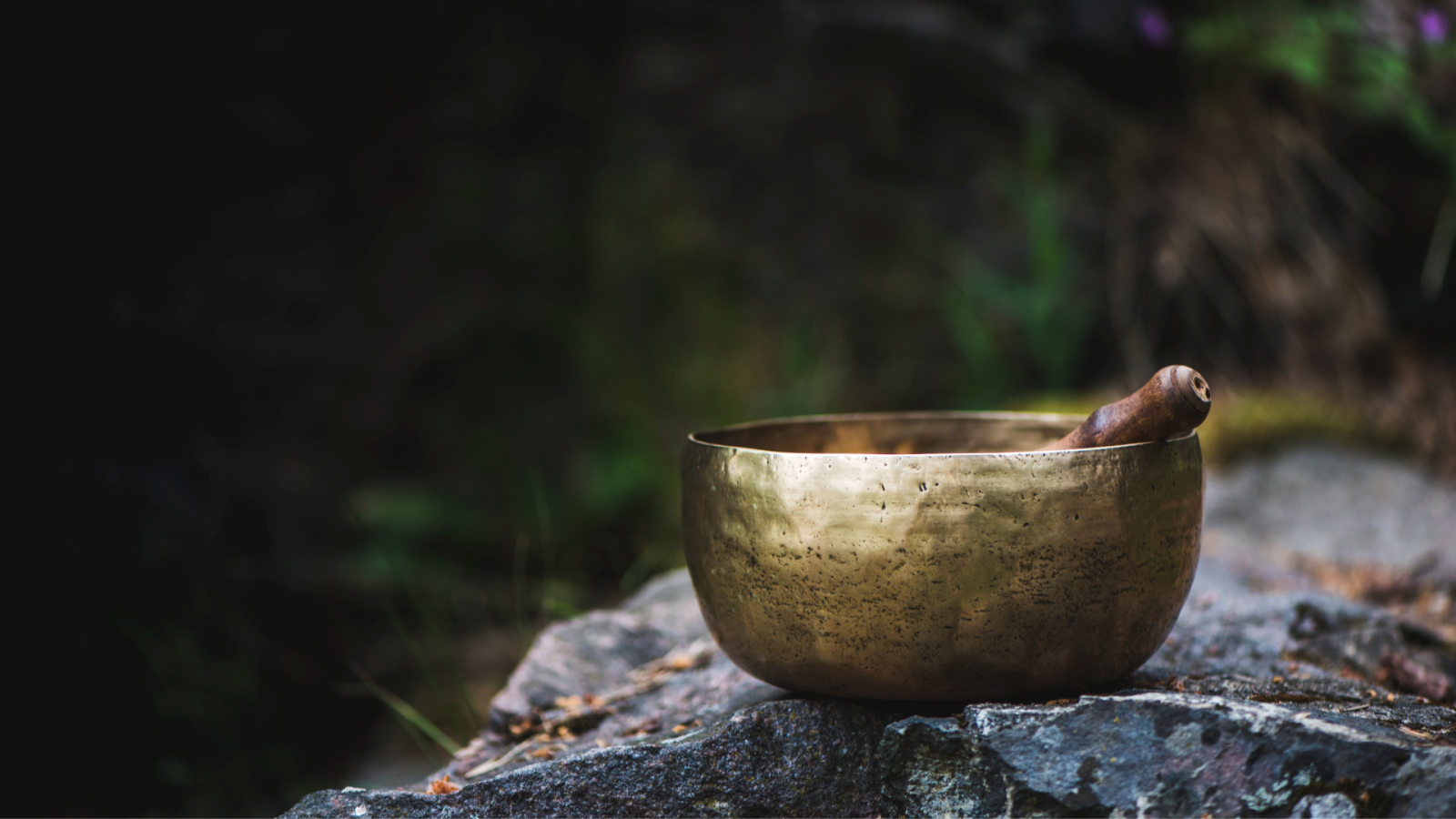 Formation modelage Kansu à Lyon