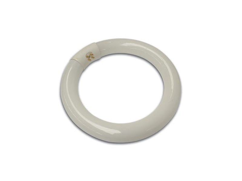 Néon de recharge pour lampe loupe